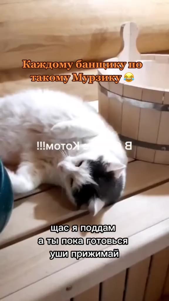 мурзик мурзик взял|велик?) wl бежим мурзик заходи забегай нучё погрелся мурзик'дай!5 Каждомубанщикуйто такому Мурзику можно!начинать париться Каждому баншикудно) щас;я\поддам азтьпокацотовься] Ушиприж