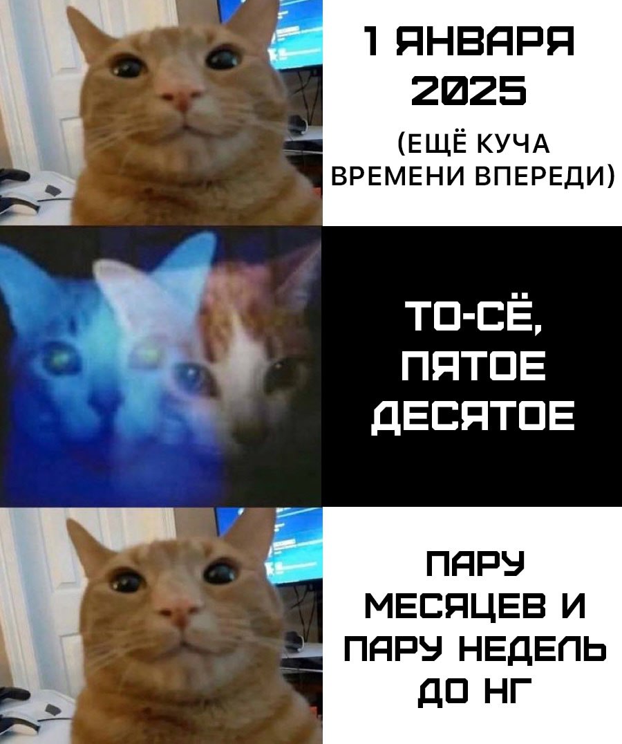 1 ЯНВЯРЯ 2025 (ЕЩЁ КУЧА ВРЕМЕНИ ВПЕРЕДИ) TO-CE, NATOE ДЕСЯТОЕ ПАРУ МЕСЯЦЕВ И ПЯРУ НЕДЕПЬ