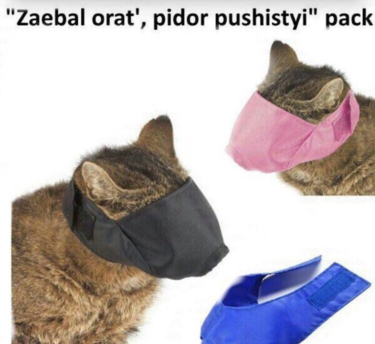ога{', pushisty pack 4