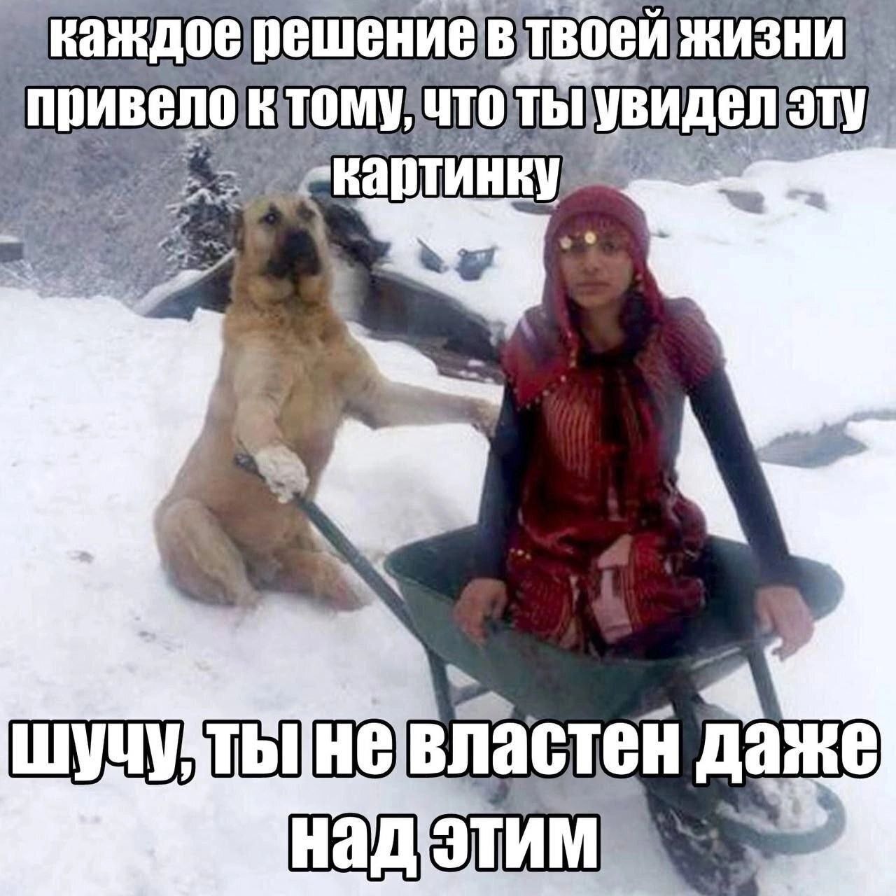 В твоей ЖИЗНИ, My! властей даже