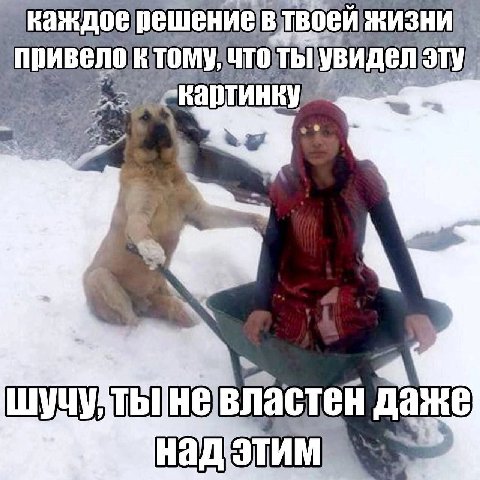 В твоей ЖИЗНИ, My! властей даже