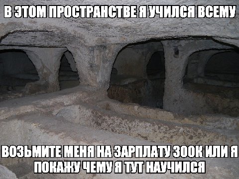 В ЭТОМ ПРОСТРАНСТВЕ Я УЧИЛСЯ ВСЕМУ ВОЗЬМИТЕ МЕНЯ НА ЗАРПЛАТУ ИЛИЯ ПОКАЖУ ЧЕМУ Я ТУТ НАУЧИЛСЯ