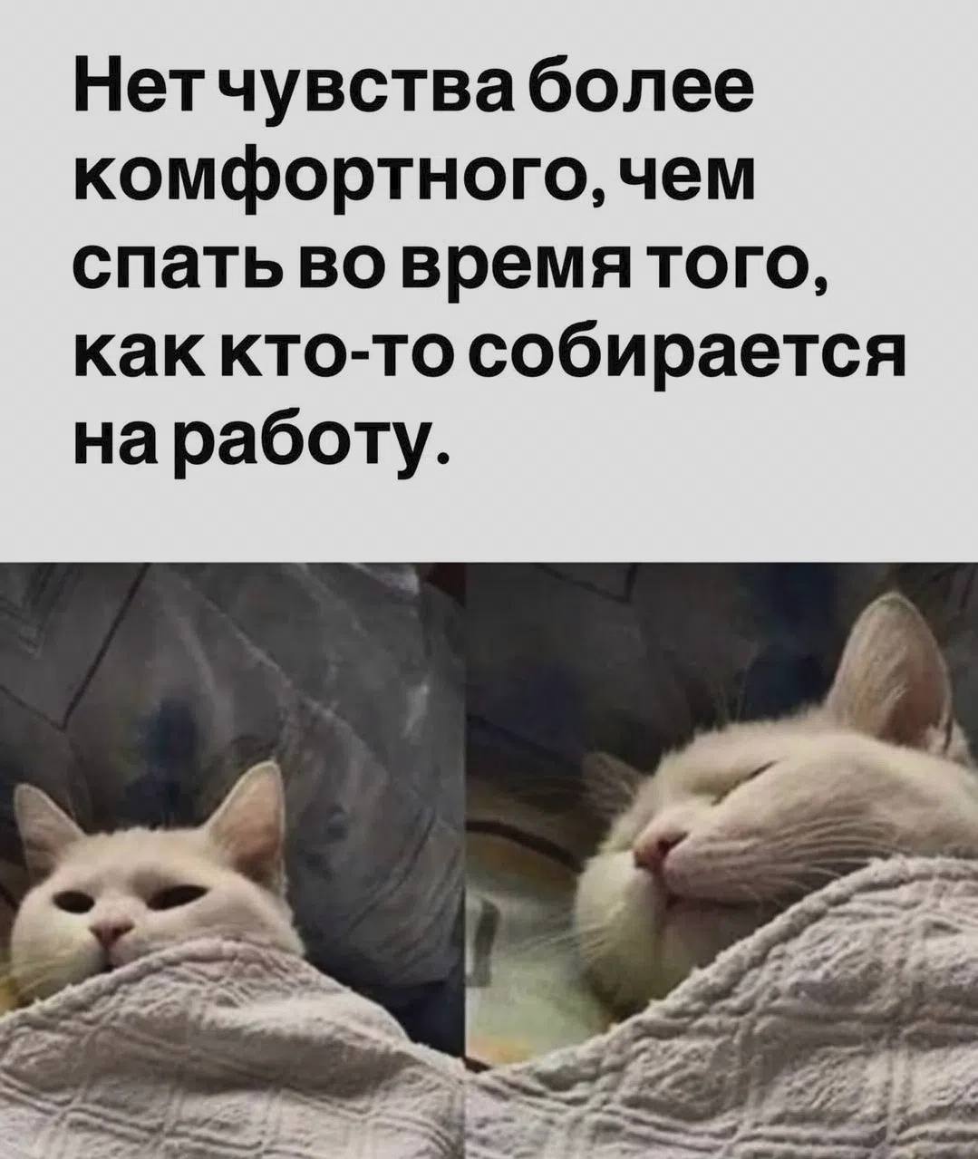 Нетчувстваболее комфортного, чем спать во времятого, как кто-то собирается наработу. 4
