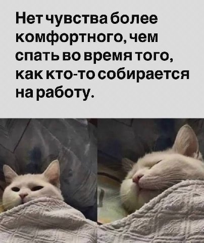 Нетчувстваболее комфортного, чем спать во времятого, как кто-то собирается наработу. 4