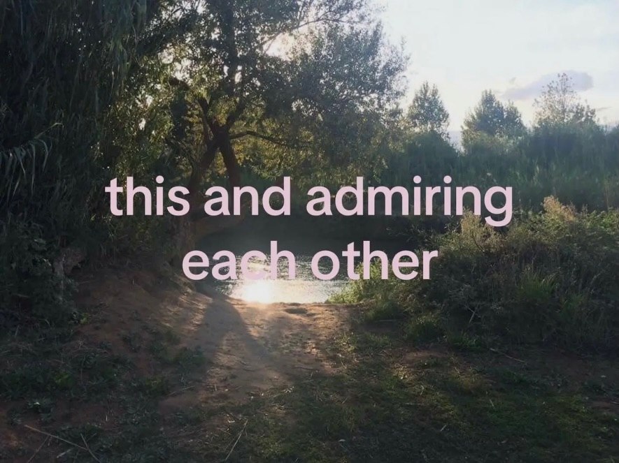 6 this and admiring other