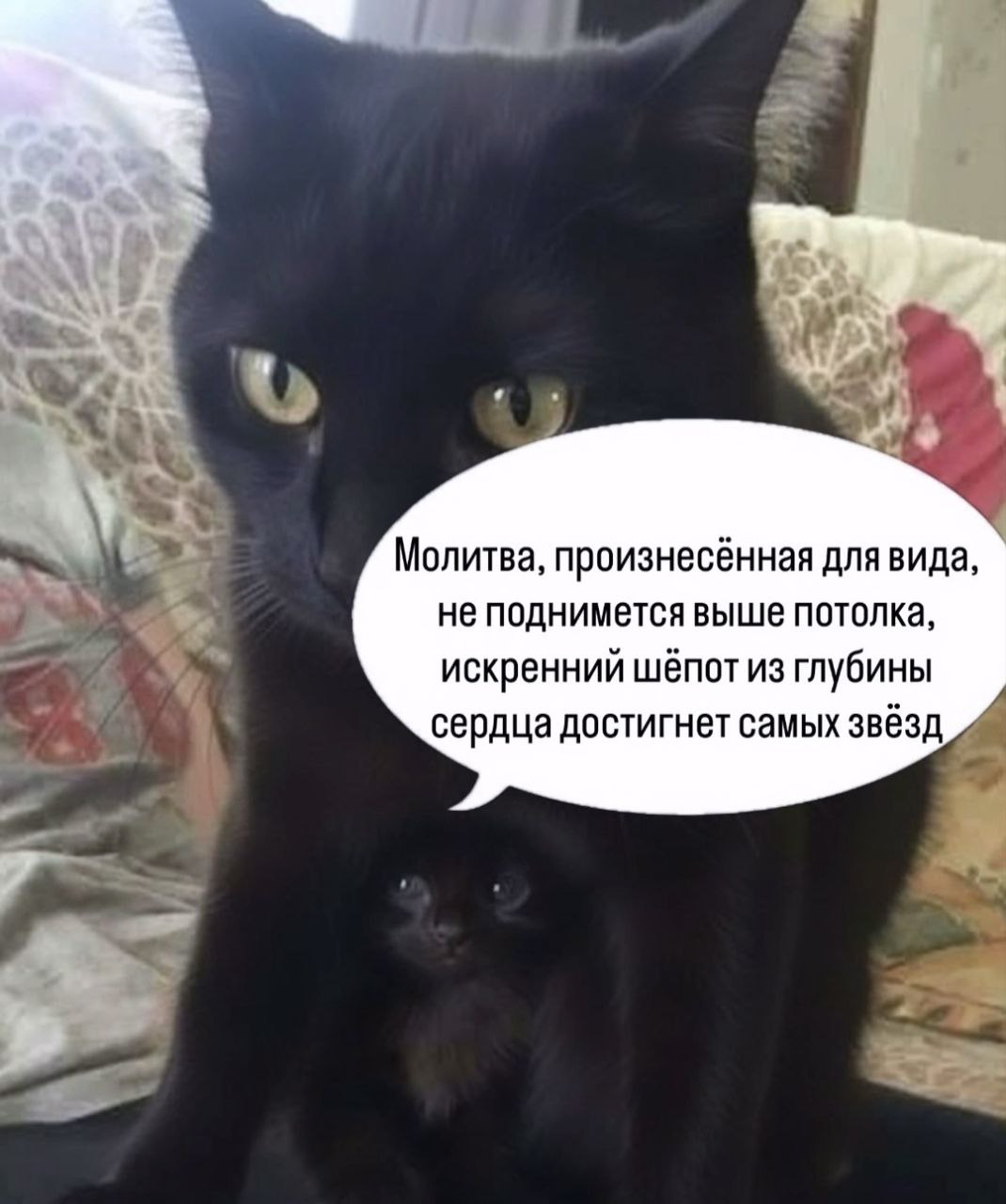 Молитва, произнесённая для вида, не поднимется выше потолка, искренний шёпот из глубины сердца достигнет самых звёзд