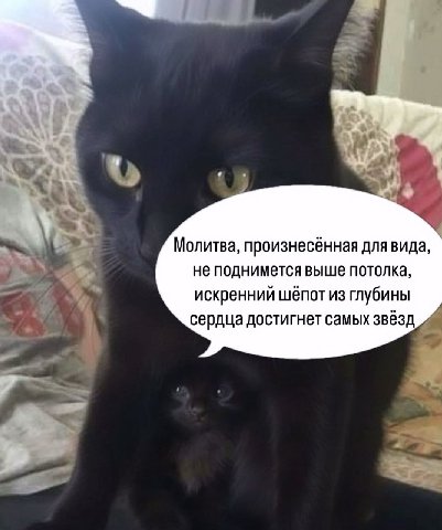 Молитва, произнесённая для вида, не поднимется выше потолка, искренний шёпот из глубины сердца достигнет самых звёзд