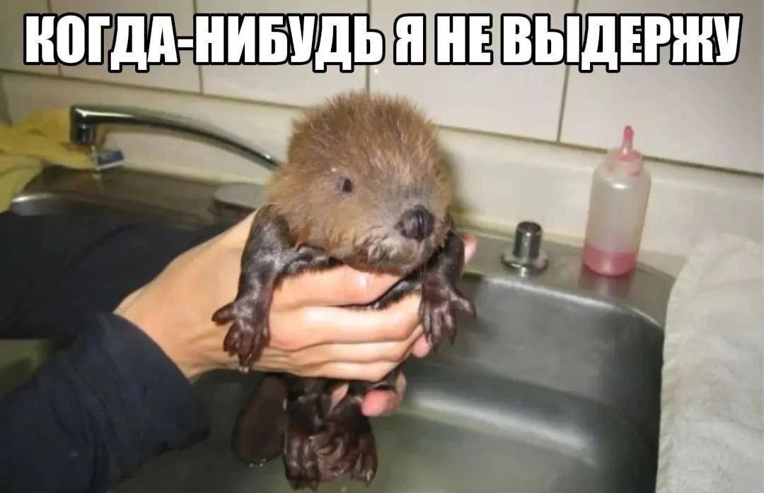 КОГДА-НИБУДЬ Я НЕВЫДЕРЖУ 4