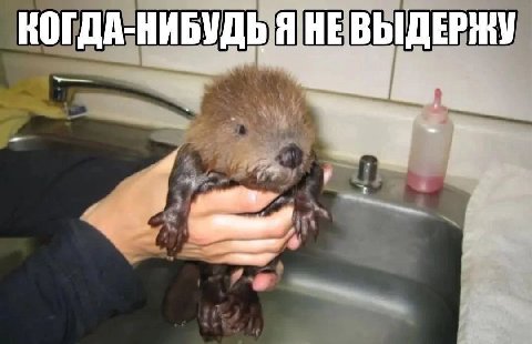 КОГДА-НИБУДЬ Я НЕВЫДЕРЖУ 4