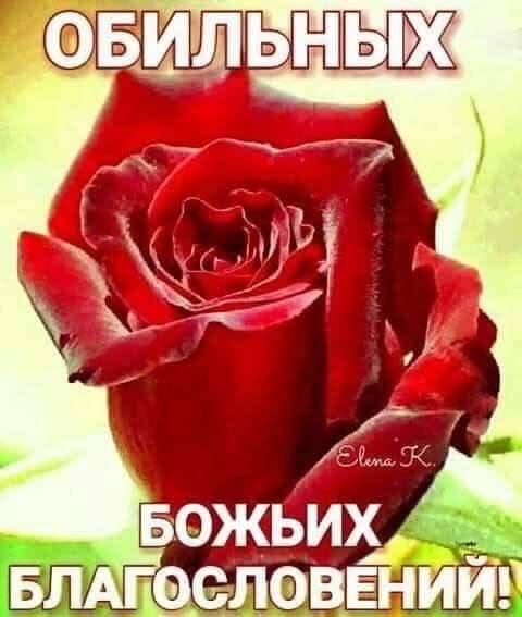 Выделений