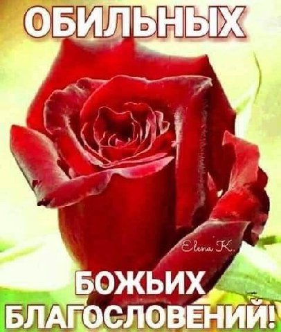 Выделений