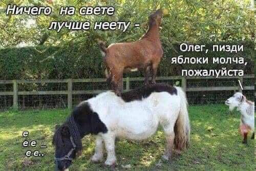 REZ Свете: Олег, пизди яблоки молча пожалуиста ее ее