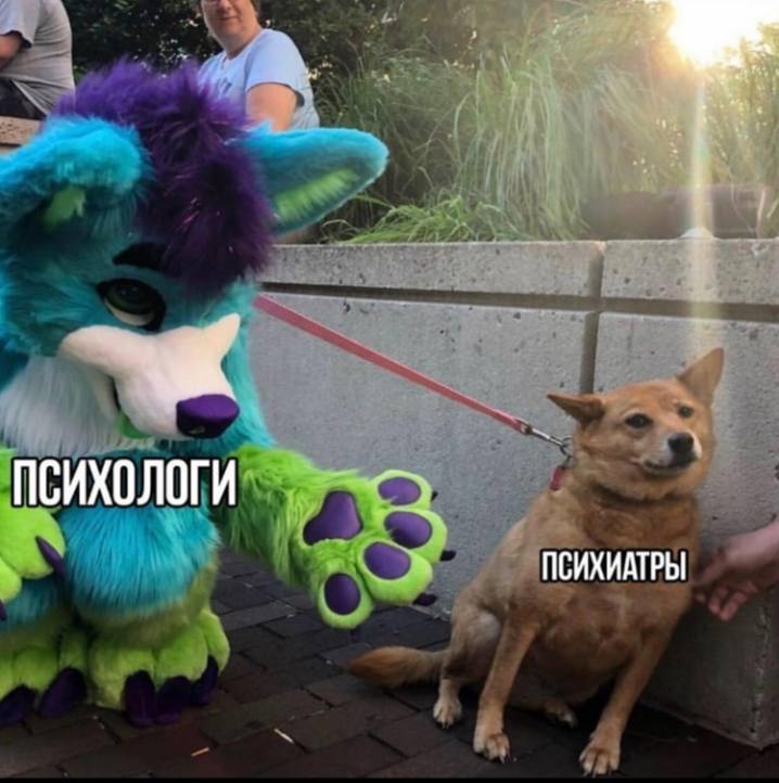 ПСИХОЛОГИ ПСИХИАТРЫ
