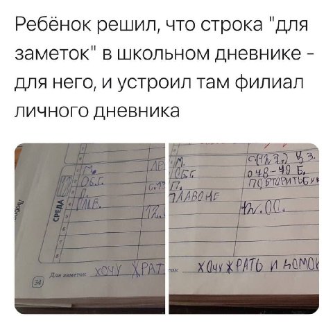 Ребёнок решил, что строка "для заметок" в школьном дневнике для него, и устроил там филиал личного дневника