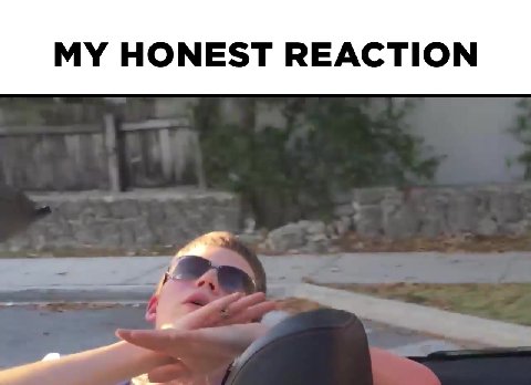 МУ HONEST REACTION
