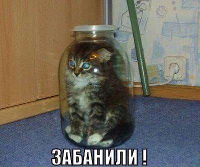 ЗАБАНИЛИ 1