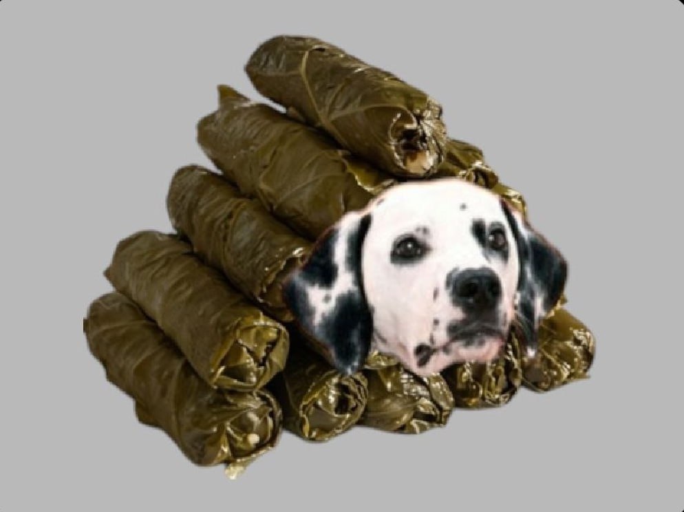 Долматинец