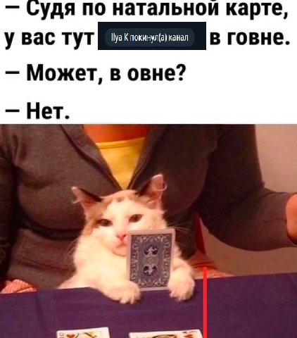 Судя по натальнои карте, у Bac тут говне. Может, в овне? Нет.