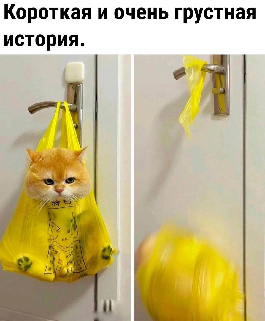Короткая и очень грустная история.