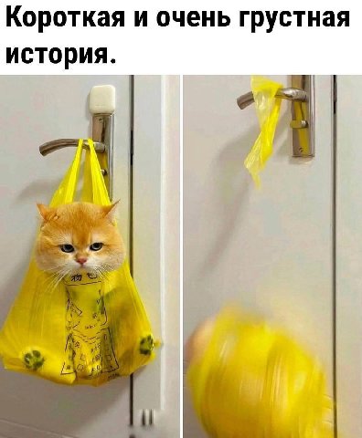Короткая и очень грустная история.