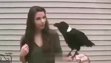 мем