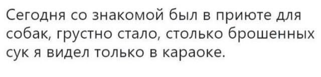 Сегодня знакомой был в приюте для собак, грустно стало, столько брошенных сук я видел только в караоке.