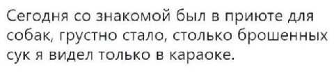Сегодня знакомой был в приюте для собак, грустно стало, столько брошенных сук я видел только в караоке.
