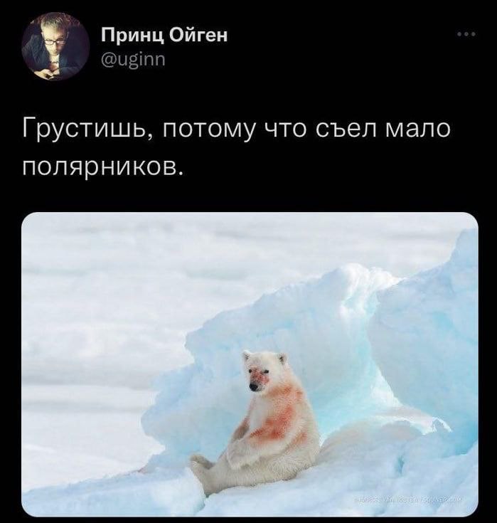 Принц Ойген @uginn Грустишь, потому что съел мало полярников.
