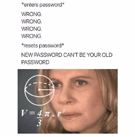 *enters password* WRONG. WRONG. WRONG. WRONG. *resets password* NEW PASSWORD CAN'T BE YOUR OLD PASSWORD 3