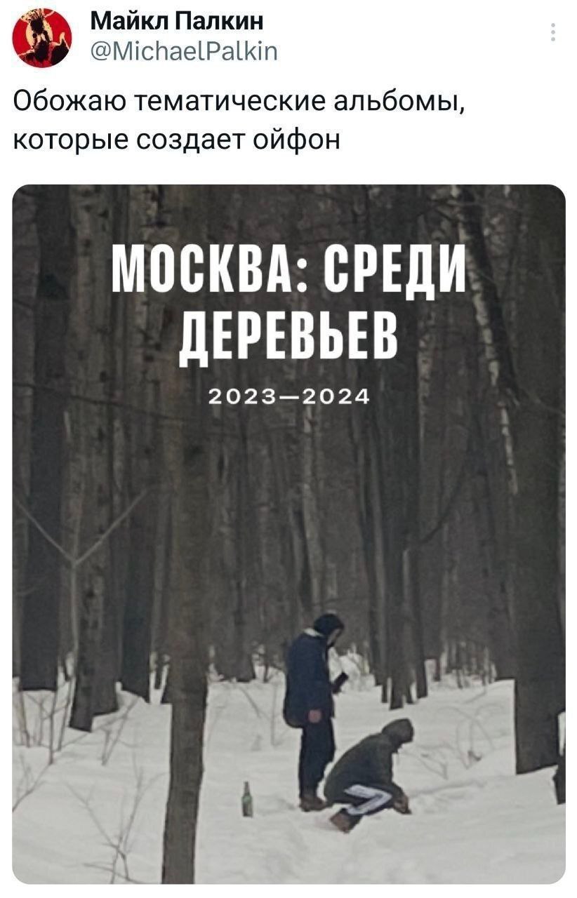 Майкл Палкин @MichaelPalkin Обожаю тематические альбомы, которые создает ойфон МОСКВА: СРЕДИ ДЕРЕВЬЕВ 2023—2024