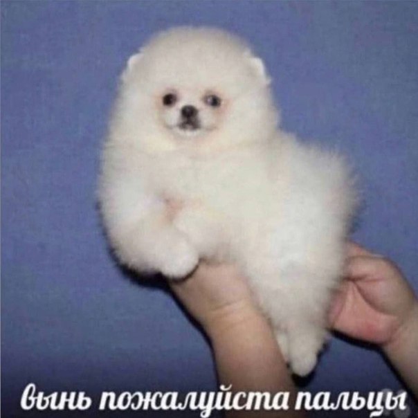 бынь пожалуйста пальцы