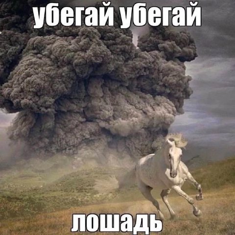 убегай убегай лошадь