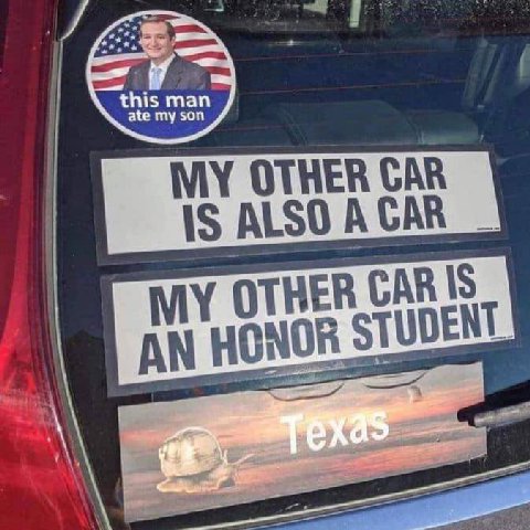 🐌 Texas