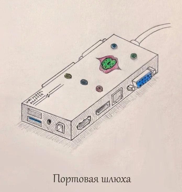 Портовая шлюха