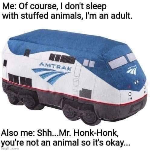 Of course, don't sleep with stuffed animals, an adult. Also me: Shh...Mr. Honk-Honk, you're not an animal so it's okay...