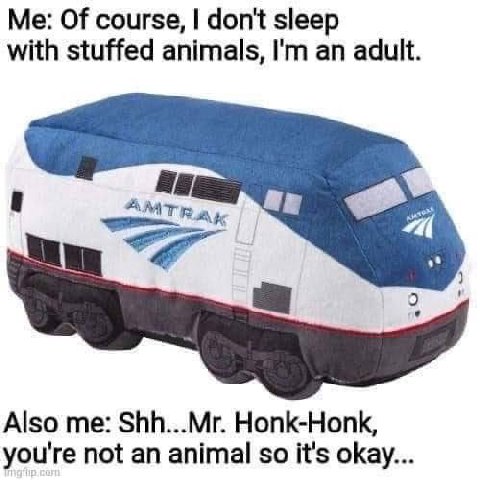 Of course, don't sleep with stuffed animals, an adult. Also me: Shh...Mr. Honk-Honk, you're not an animal so it's okay...