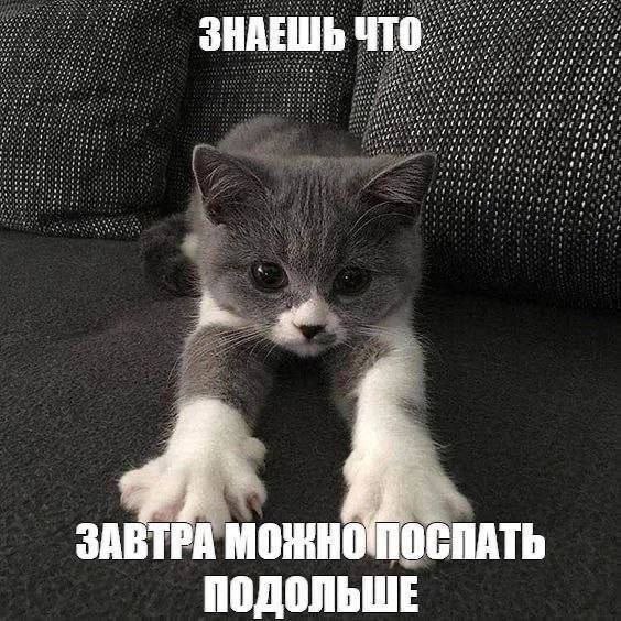 of В ЗНАЕШЬ ЧТО of 7 1 pre an i ЗАВТРА ПОДОЛЬШЕ