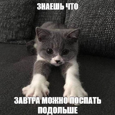 of В ЗНАЕШЬ ЧТО of 7 1 pre an i ЗАВТРА ПОДОЛЬШЕ