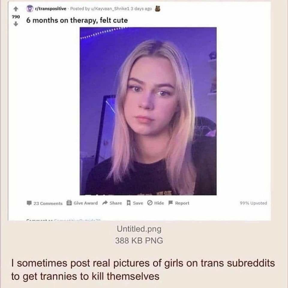 a 4+ ©months on therapy, felt 23 Give A Share я save ные Report Untitled.png 388 PNG sometimes post real pictures of girls on trans subreddits to get trannies to kill themselves