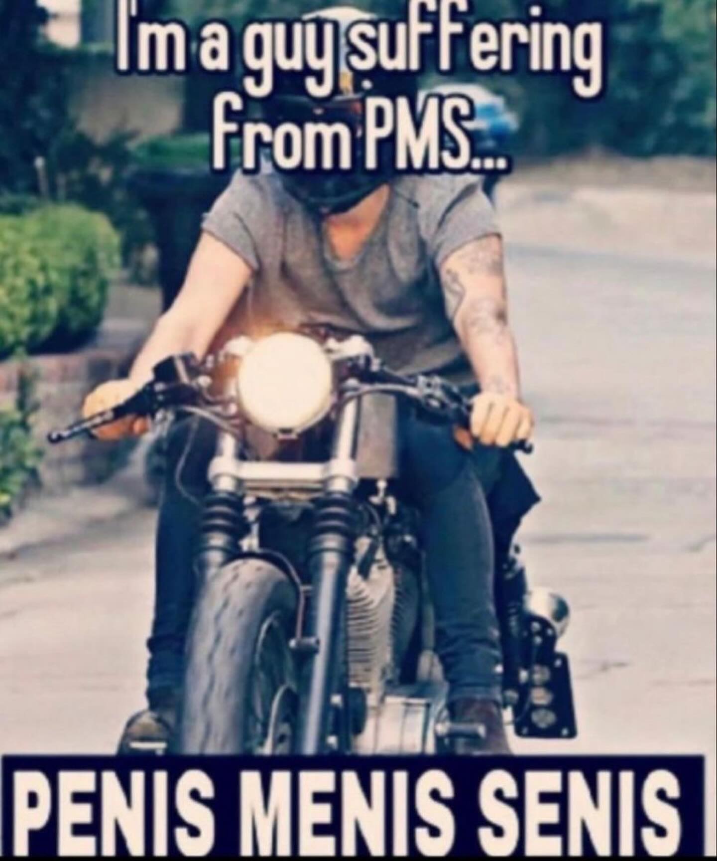 PENIS MENIS SENIS