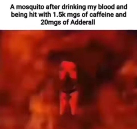 А mosquito after drinking my blood and being hit with mgs of caffeine and 20mgs of Adderall