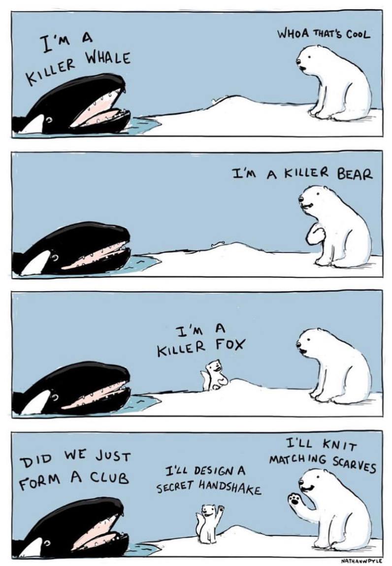 WHOA THAT's CooL. А WHALE i A KILLER BEAR А KiLLER FOX KNit WE Just А MATCH ING А SECRET WPYLE