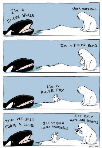 WHOA THAT's CooL. А WHALE i A KILLER BEAR А KiLLER FOX KNit WE Just А MATCH ING А SECRET WPYLE
