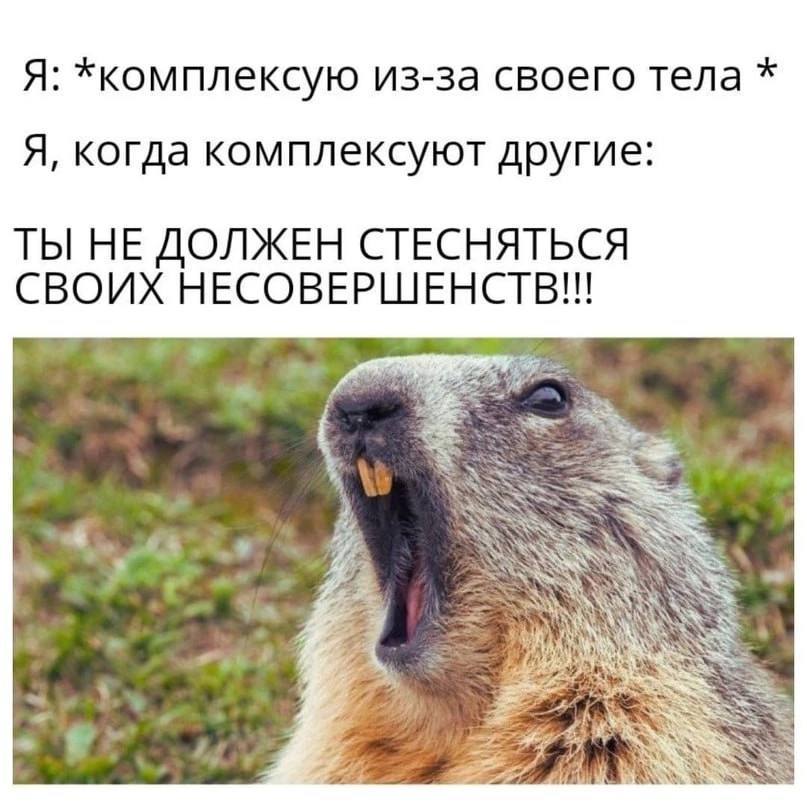 Я: *комплексую из-за своего тела Я, когда комплексуют другие: ТЫ НЕ ДОЛЖЕН СТЕСНЯТЬСЯ СВОИХ НЕСОВЕРШЕНСТВ!! SSS