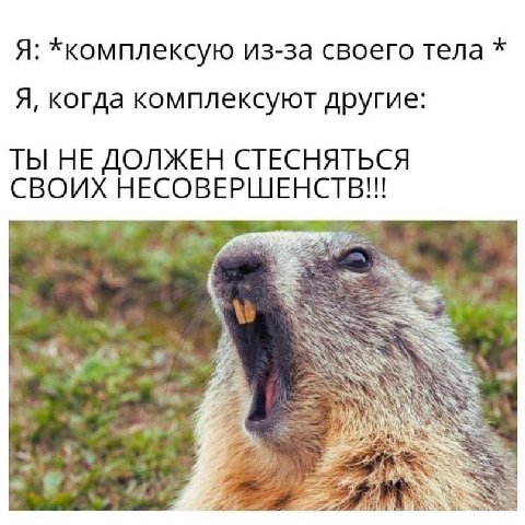 Я: *комплексую из-за своего тела Я, когда комплексуют другие: ТЫ НЕ ДОЛЖЕН СТЕСНЯТЬСЯ СВОИХ НЕСОВЕРШЕНСТВ!! SSS
