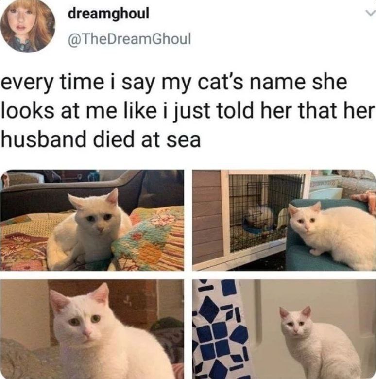 dreamghoul @TheDreamGhoul every time i say my name she looks at me like i just told her that her husband died at sea
