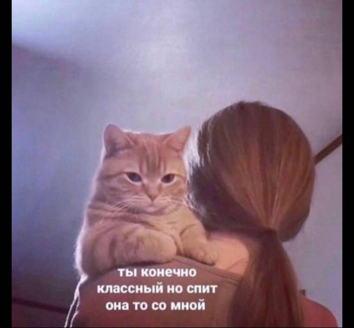 ты конечно классный но спит она то мной