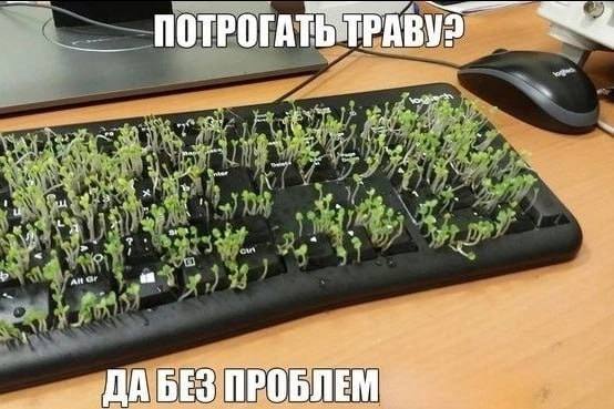 ПОТРОГАТЬТРА и и a if 3 ПРО БЛЕМ