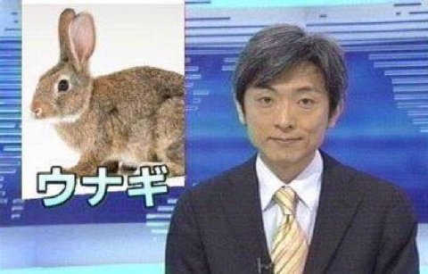 4 4 2 4 5