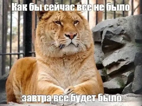 Kak бы сейчас a 2 завтравсе